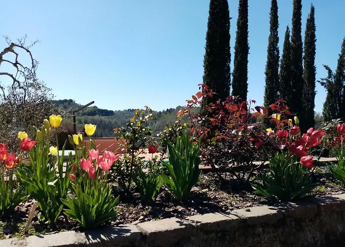 Gervasella