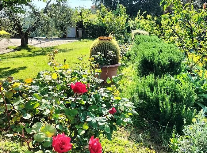 Gervasella * Pontedera