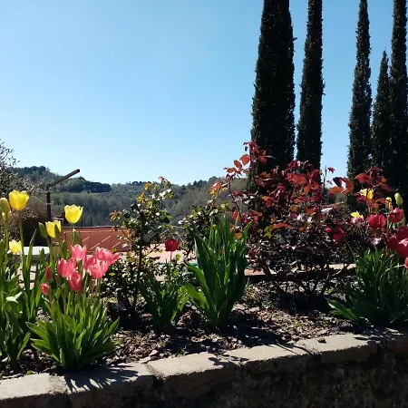 Gervasella